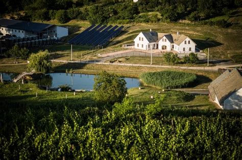 Bodri Birtok panoráma Faluhely-dűlő