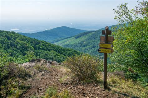 Mátra hegység panorámája szőlőültetvényekkel