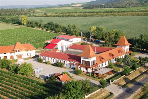 Garamvári Pincészet szőlőfajtái