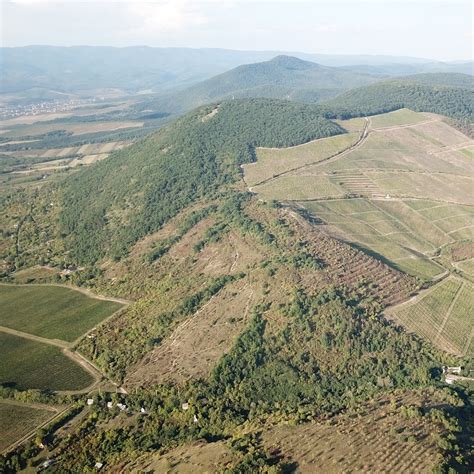 Nagy-Eged-hegy panorámája szőlőtőkékkel