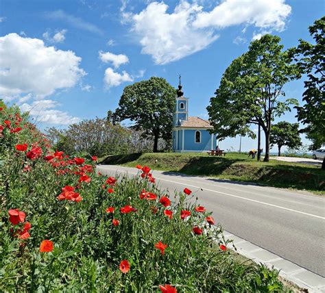 Szekszárdi dombvidék panorámája