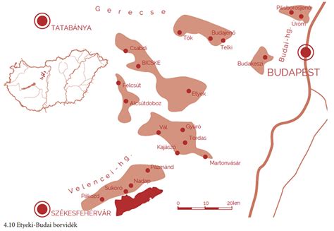 Etyek-Budai borvidék domboldalai szőlőtőkékkel