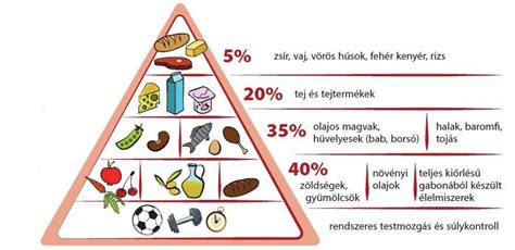 Egészséges táplálkozás és mozgás
