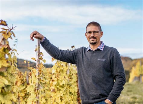 Borbély Tamás borász és egy pohár olaszrizling