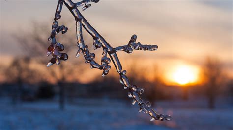 Egy szőlőtőkékkel teli domboldal naplementekor
