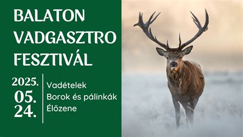 Balaton partja fesztivál idején