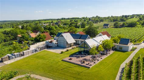 modern borászati üzem épület