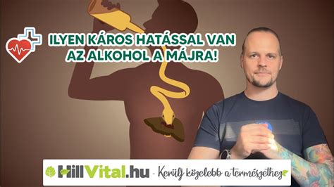 Az alkohol májra gyakorolt hatásának folyamatát szemléltető grafika