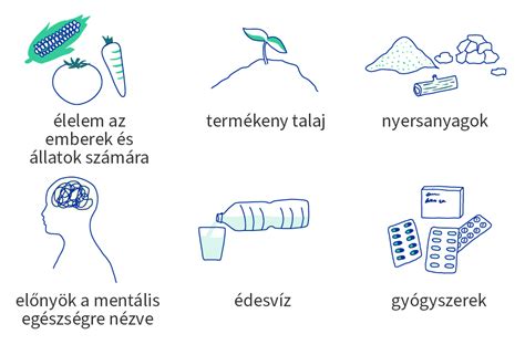 Infografika az alkohol és a gyógyszerek interakcióiról