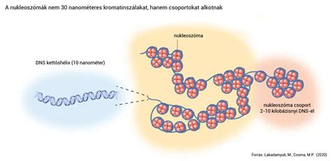 DNS javító mechanizmusok