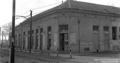 Régi szőlőskert