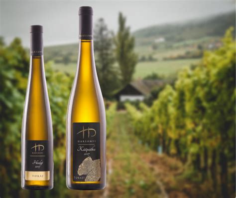 A GREEN BRANDS logója a Harsányi Pincészet termékein