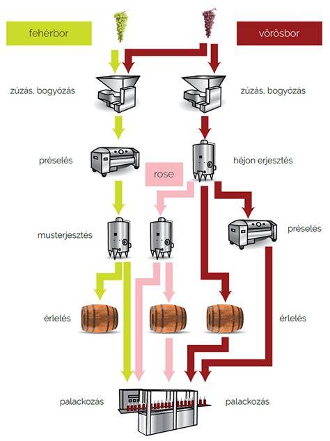 pezsgő erjedés és érlelés diagram