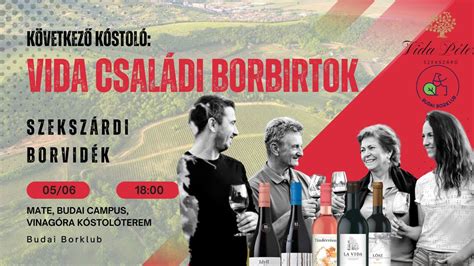 Vida Borbirtok szőlőültetvénye