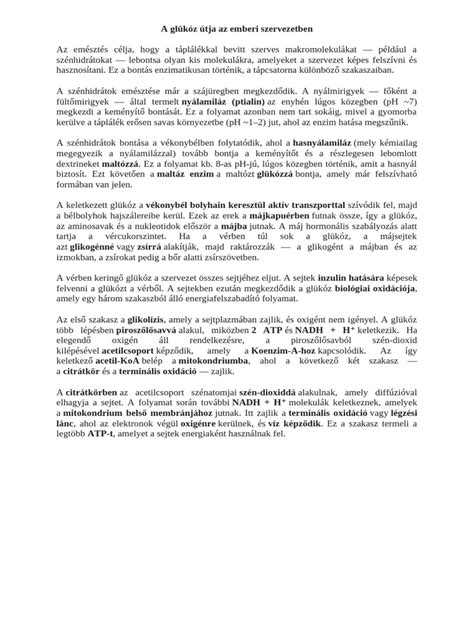 Diagram a poliovírus terjedéséről az emberi szervezetben