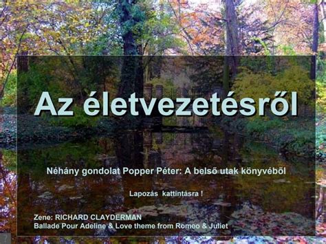 Folyó borospince belső részletek infografika