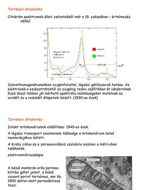 radii zenekar történeti áttekintés diagram