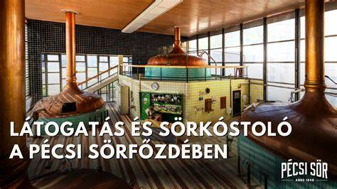 Infografika a Pécsi Sörfőzde történetéről