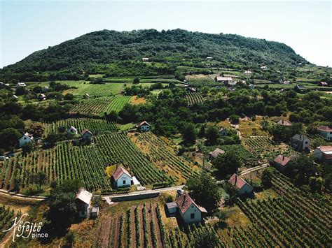 Somlói pince és ültetvény panoráma