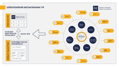 általános szextartalmak kategóriái infografika