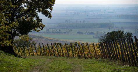 Tokaj-hegyaljai dűlők vizuális áttekintése