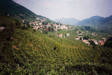 Prosecco szőlőültetvények látképe