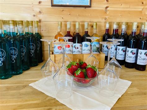 gyümölcsbor aperitif pohár asztalon