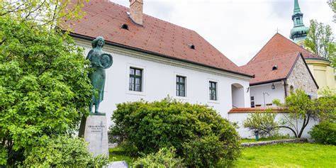 Képek és vizuális elemek a kampányból