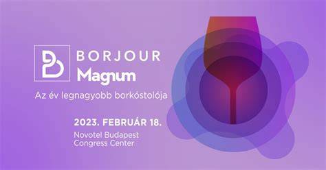 Infografika a Borjour Magnum és Borjour RED kedvezményrendszeréről