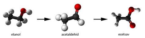 DNS-metiláció és acetaldehid hatása az őssejtekre