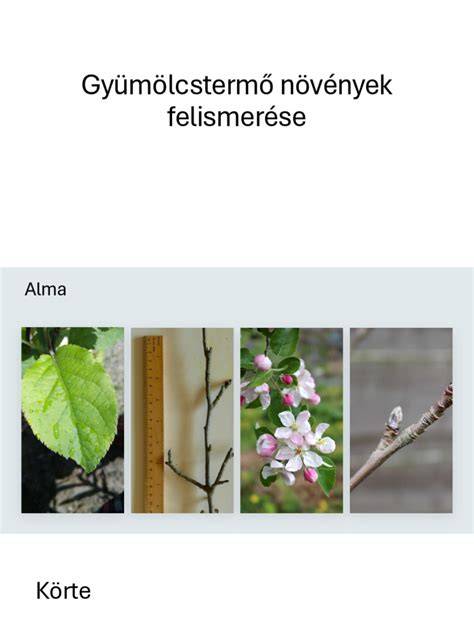 választható növények felismerése