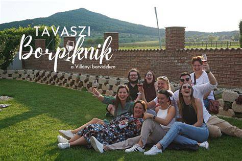 borpiknik a halmihegyen vizuális áttekintés