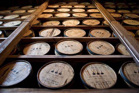whisky hűtés infografika
