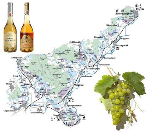 Tokaj-hegyalja dűlői térkép panoráma