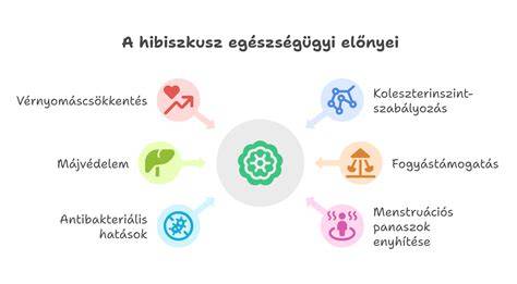 Infografika: érintett szervek és hatások
