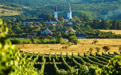 Tokaj-Hegyalja tájkép és dűlőkertek