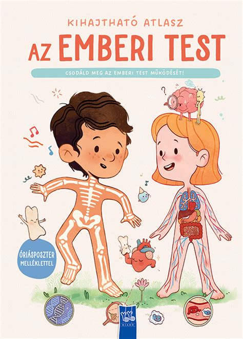 az emberi test idegrendszerének metszete