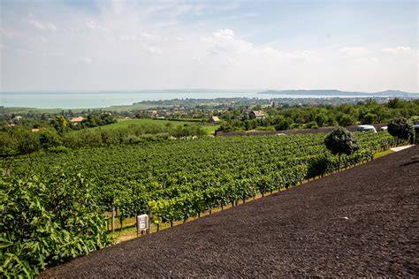 Csopak és Paloznak dűlői panoráma