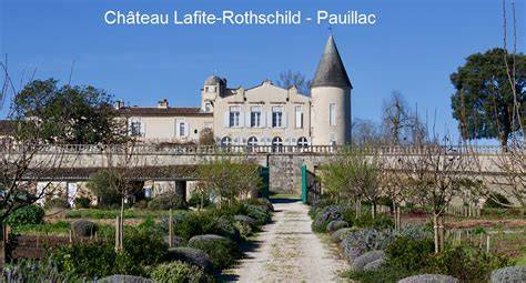 Château Lafite Rothschild ikonikus borok és talajjellemzés