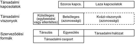 Hozzájáruló társadalmi kapcsolatok és sörkultúra