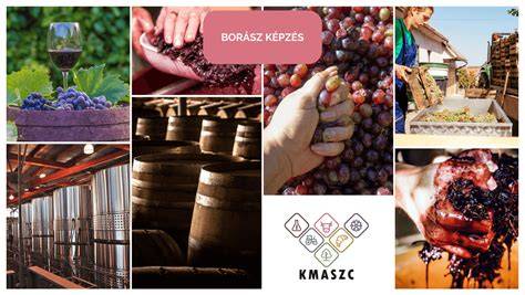 borász képzés Nagykanizsán infographic