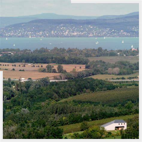 Balatonboglári borvidék panoráma