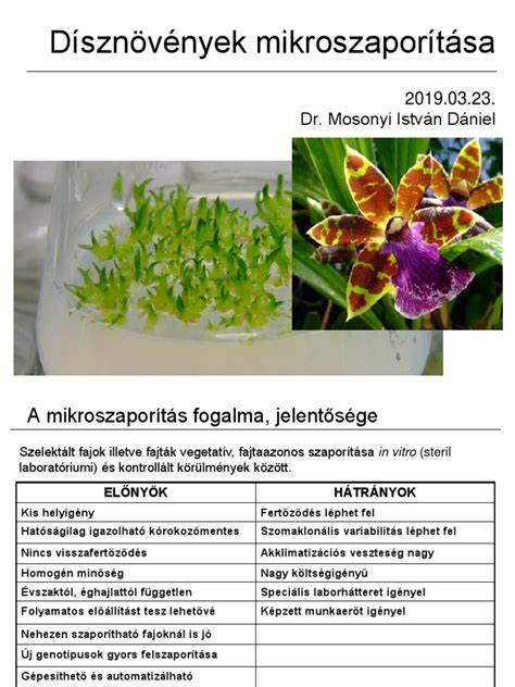 osszefoglalo-hod