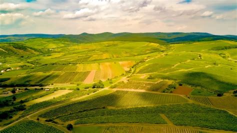 tokaj-hegyalja pincekultura kép