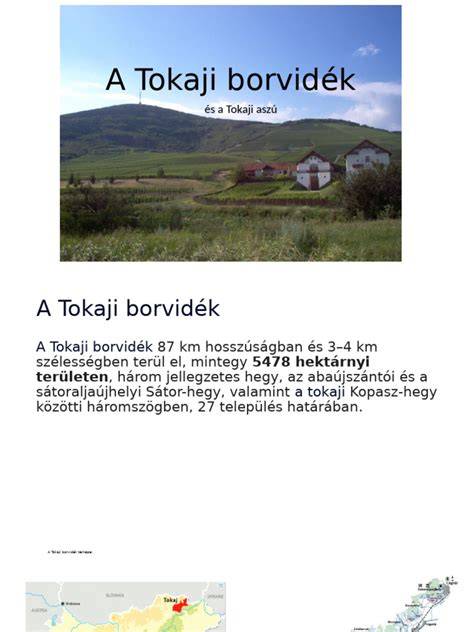 Tokaji borvidék gazdasági környezete infografika