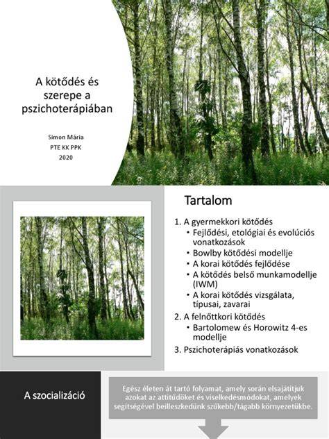 pszichoterápia és önismeret szimbóluma