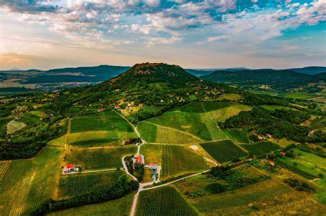 Balaton borvidék prémium borai