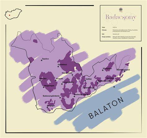 illustration of Badacsony wine region