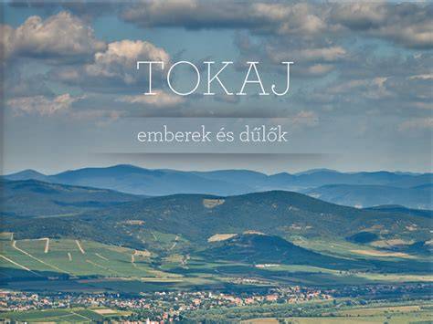 Tokaj-Hegyalja panoráma és dűlők