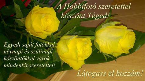 mester köszöntő és szaktanácsadás kép